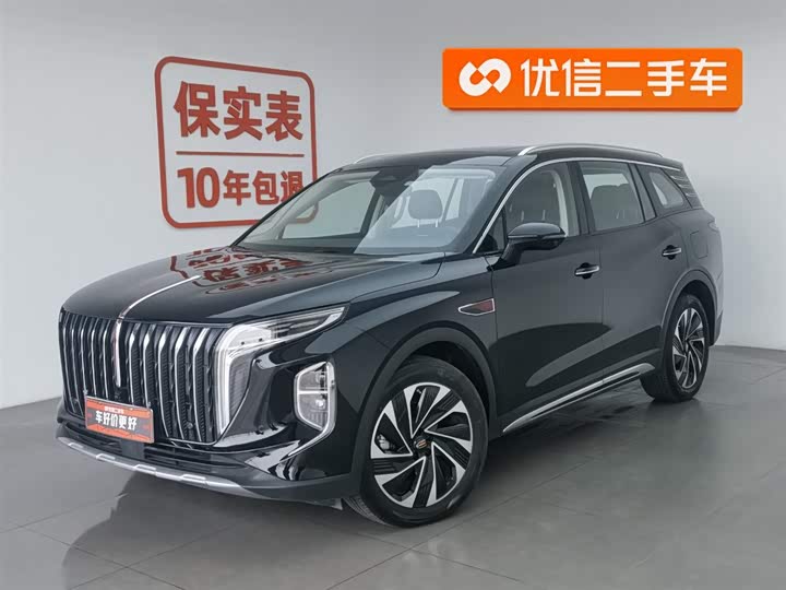 Фото 1 - Hongqi HS7 Hybrid