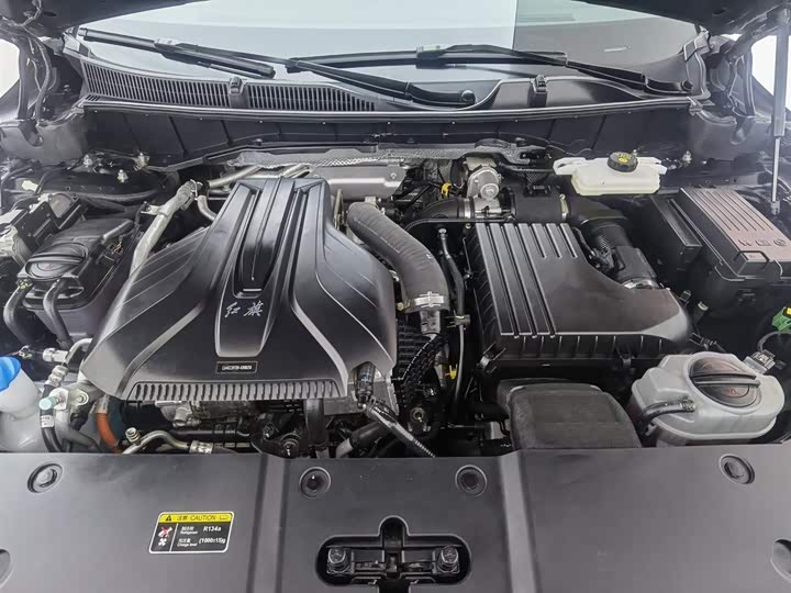 Фото 6 - Hongqi HS7 Hybrid