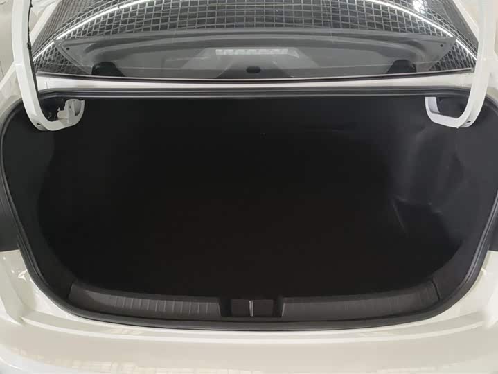 Фото 4 - Volkswagen Sagitar L