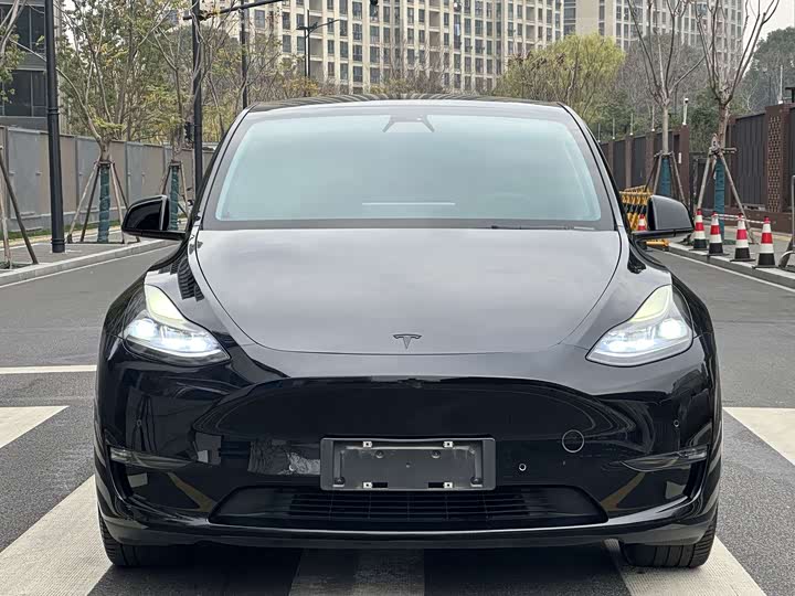Фото 2 - Tesla Model Y