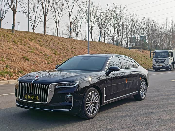 Фото 3 - Hongqi H9