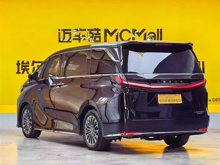 Фото 6 - Lexus LM
