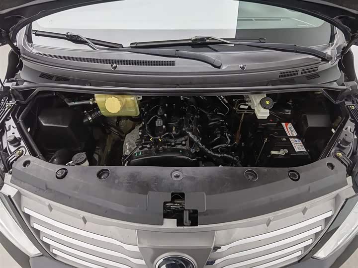 Фото 6 - Dongfeng Forthing Lingzhi Plus