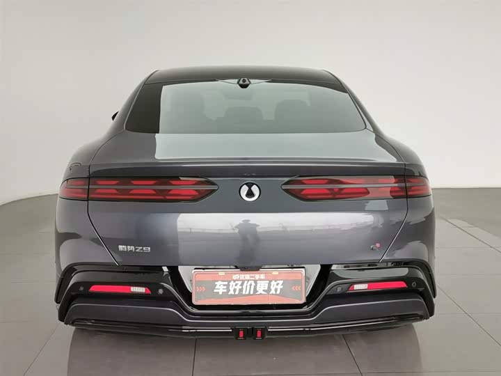 Фото 4 - Denza Z9