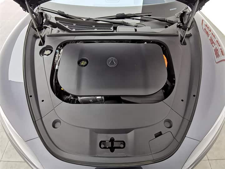 Фото 6 - Denza Z9