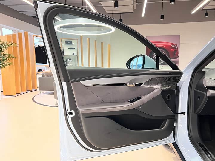 Фото 7 - Voyah Passion