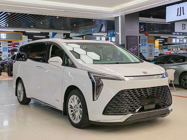 Фото 3 - Buick GL8 Century