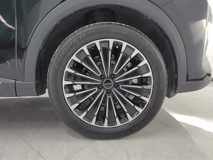 Фото 6 - Exeed RX C-DM Hybrid