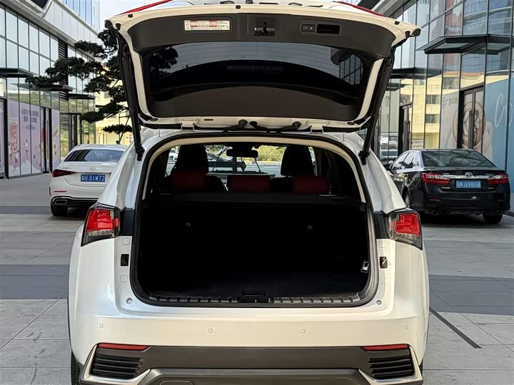 Фото 8 - Lexus NX