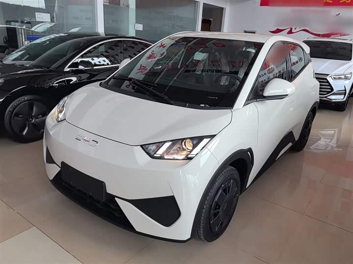 Фото 1 - BYD Seagull