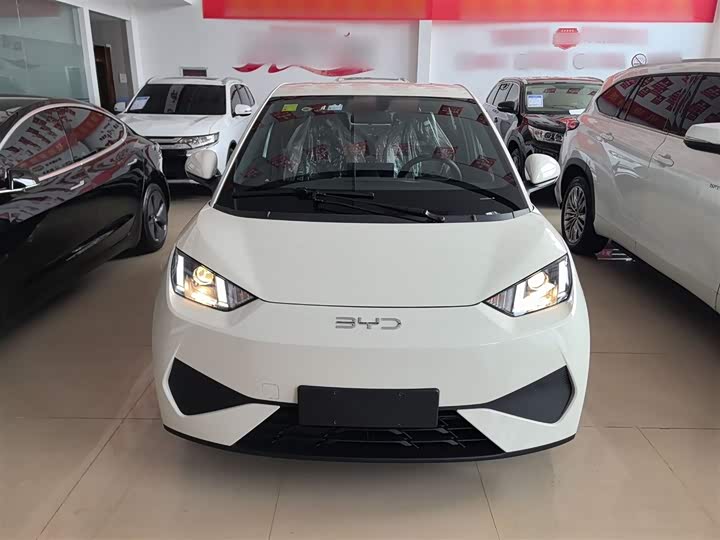 Фото 3 - BYD Seagull