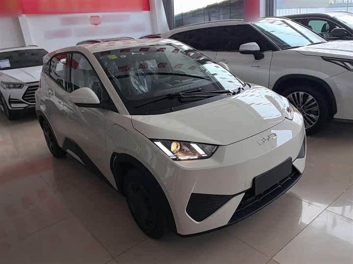 Фото 4 - BYD Seagull