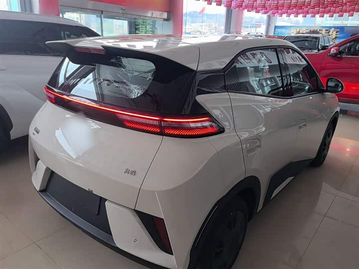 Фото 7 - BYD Seagull