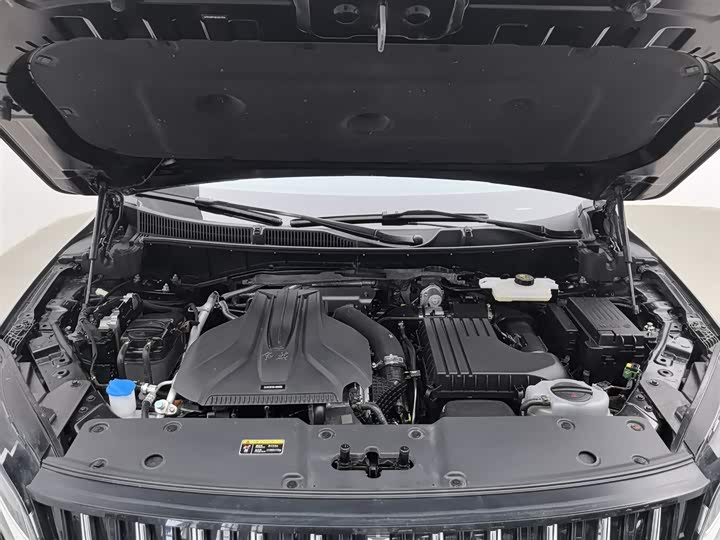 Фото 6 - Hongqi HS7 Hybrid