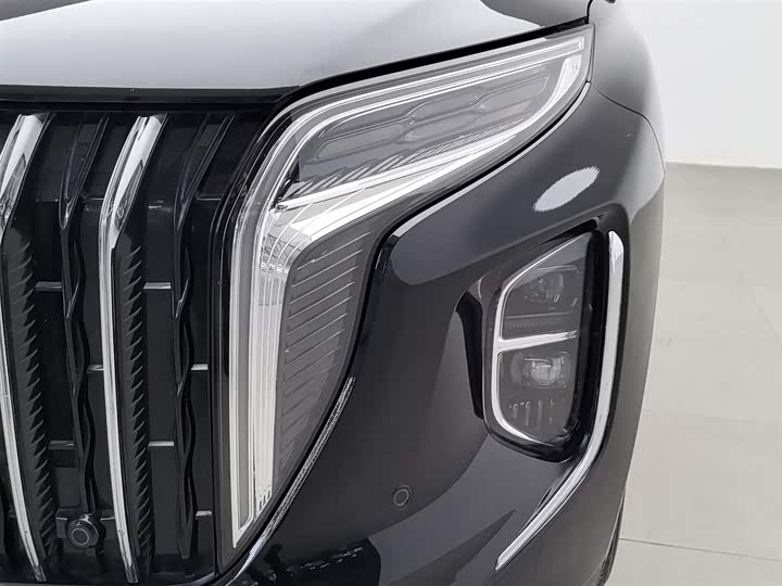 Фото 7 - Hongqi HS7 Hybrid