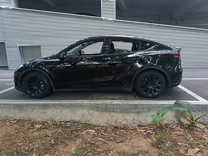 Фото 5 - Tesla Model Y