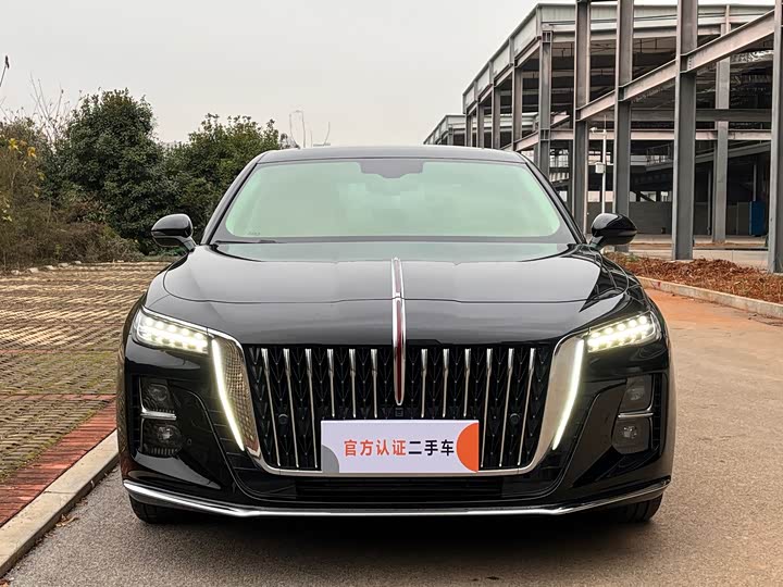 Фото 2 - Hongqi H5