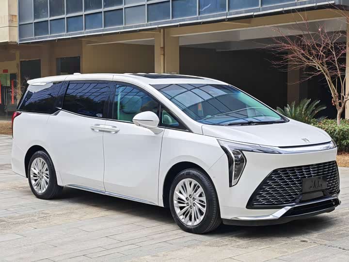 Фото 2 - Buick GL8 Century