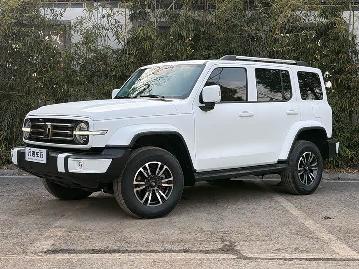 Фото 1 - Tank 300