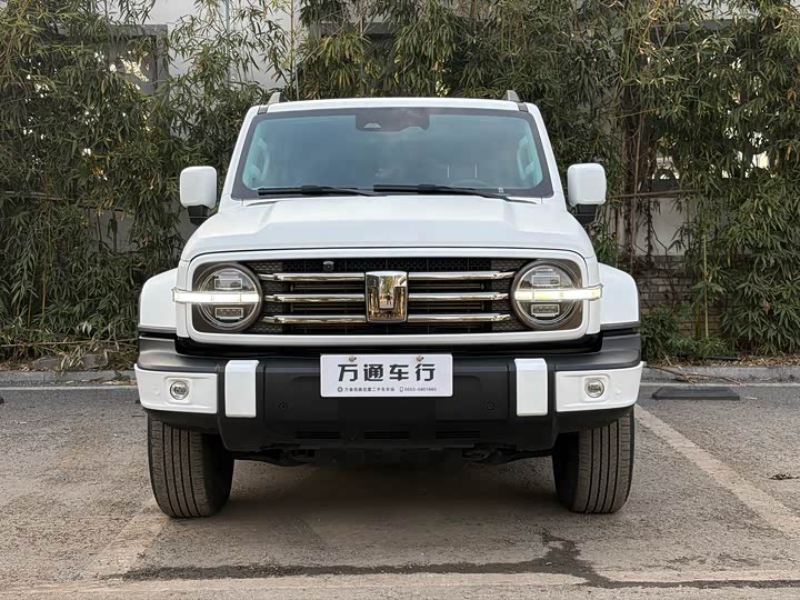 Фото 2 - Tank 300