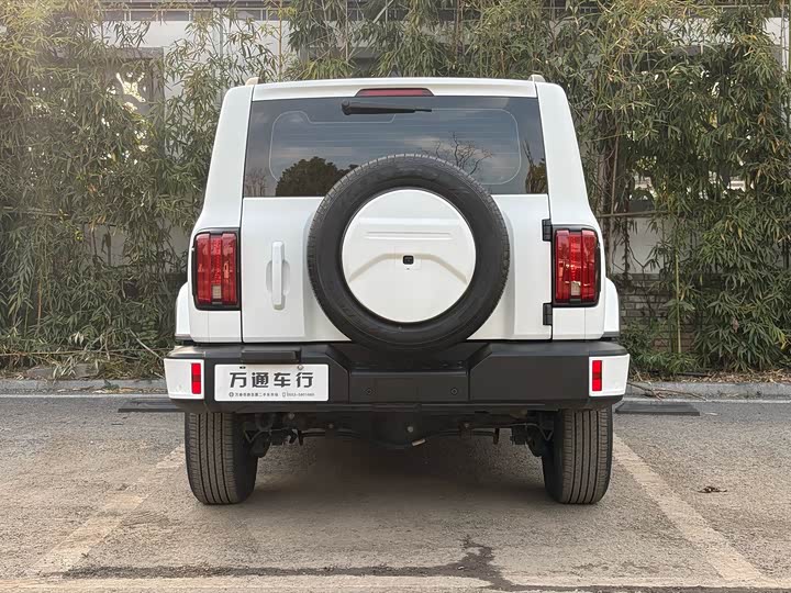 Фото 4 - Tank 300