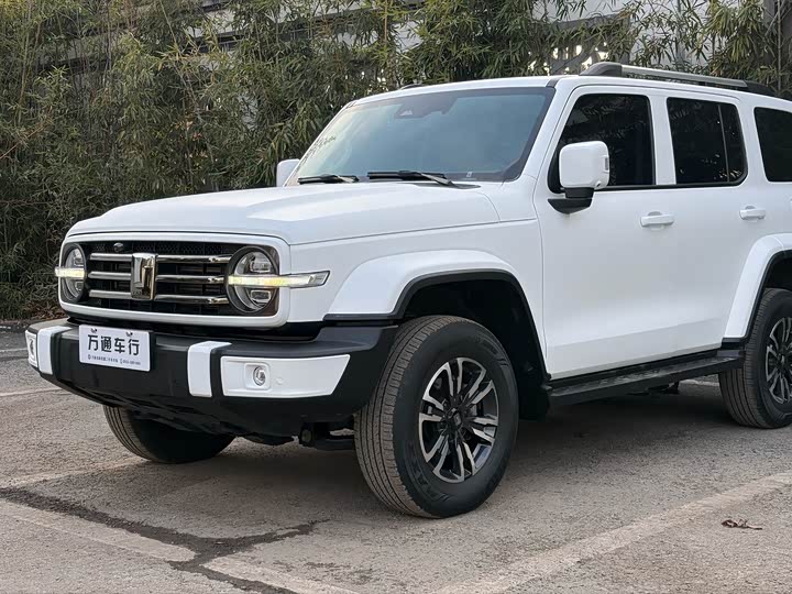 Фото 6 - Tank 300