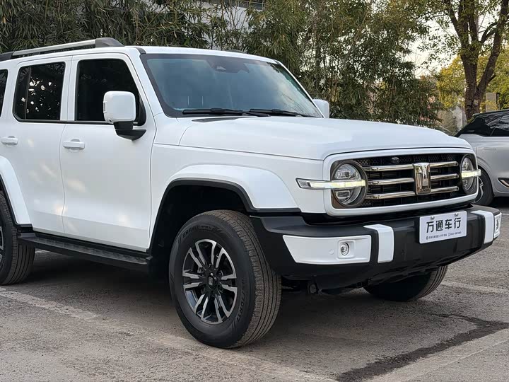 Фото 7 - Tank 300