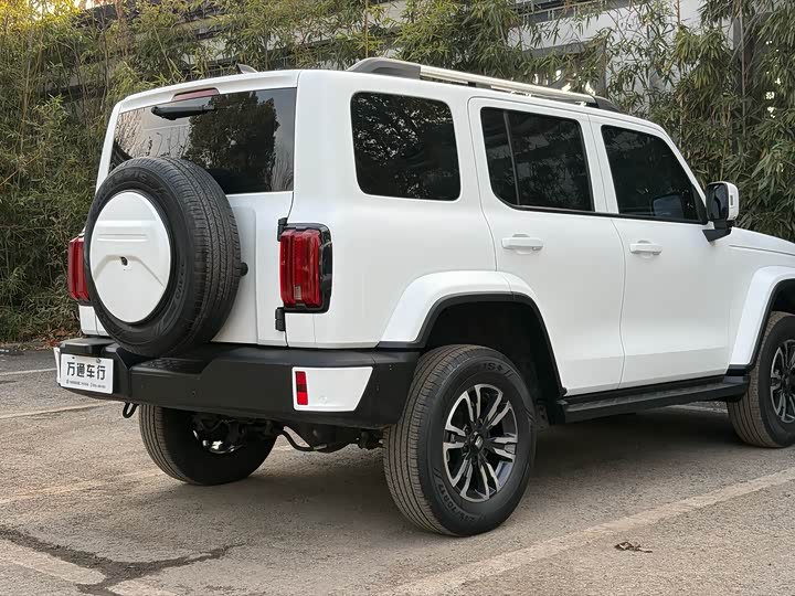 Фото 8 - Tank 300