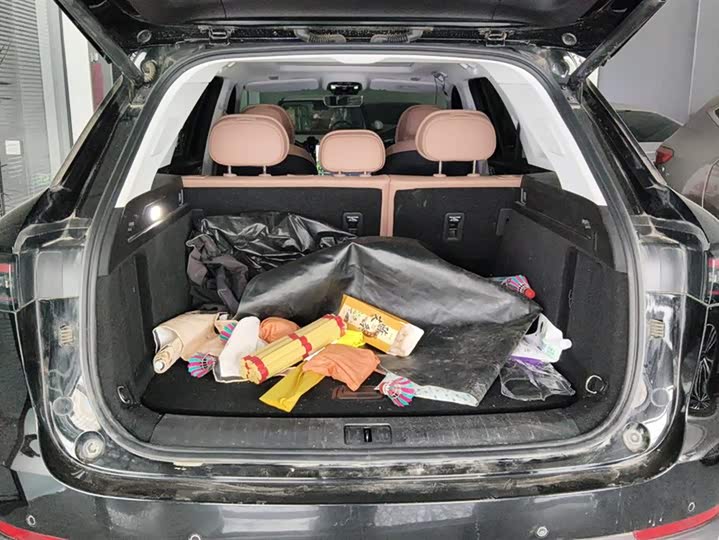 Фото 4 - Chery Tiggo 8L