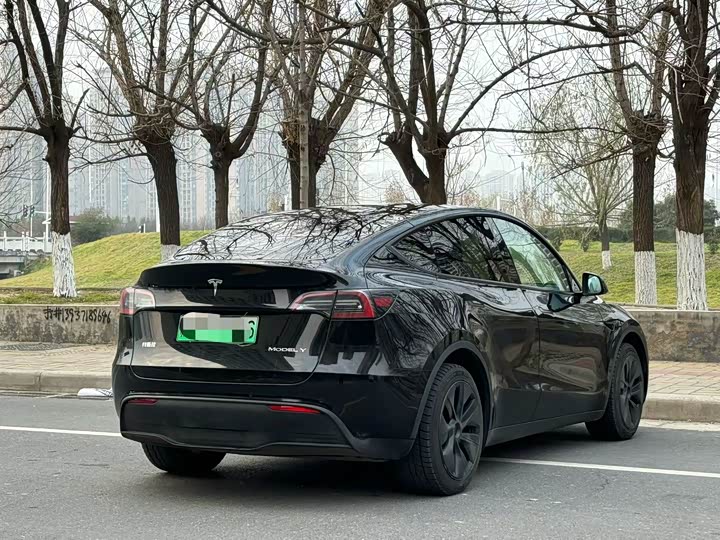 Фото 5 - Tesla Model Y