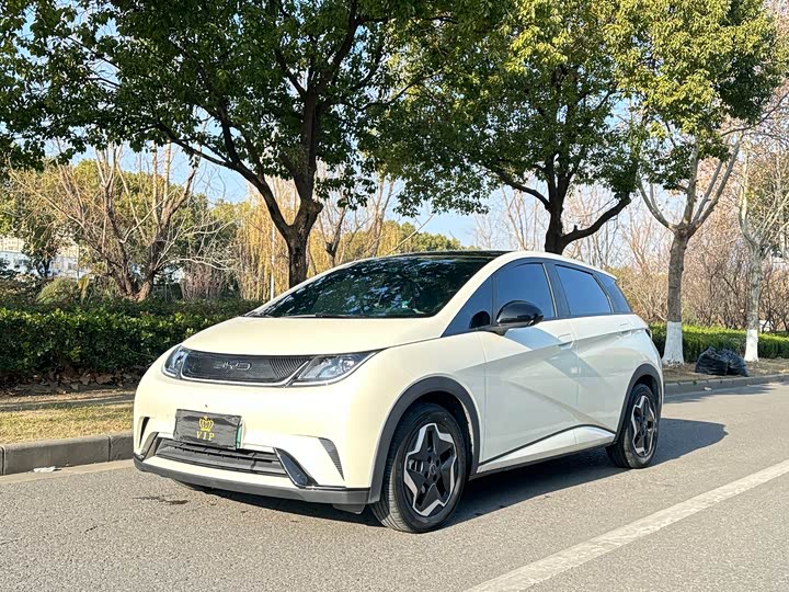 Фото 1 - BYD Dolphin