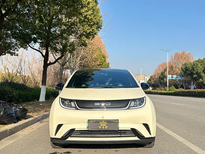 Фото 2 - BYD Dolphin