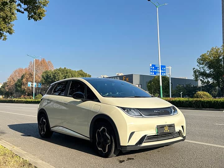 Фото 3 - BYD Dolphin