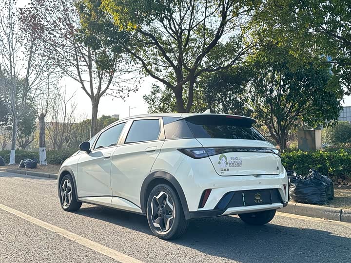 Фото 4 - BYD Dolphin