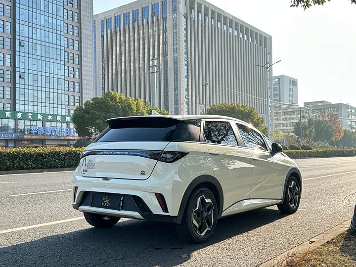 Фото 5 - BYD Dolphin