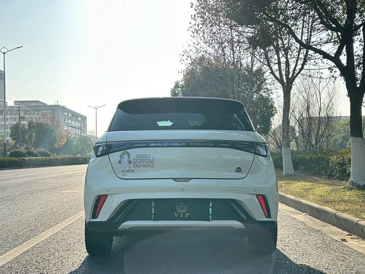 Фото 6 - BYD Dolphin