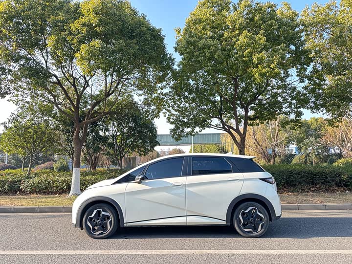 Фото 7 - BYD Dolphin