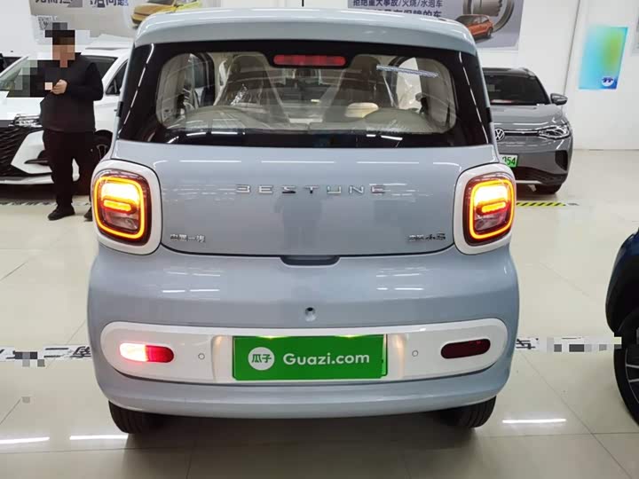 Фото 6 - Bestune Pony