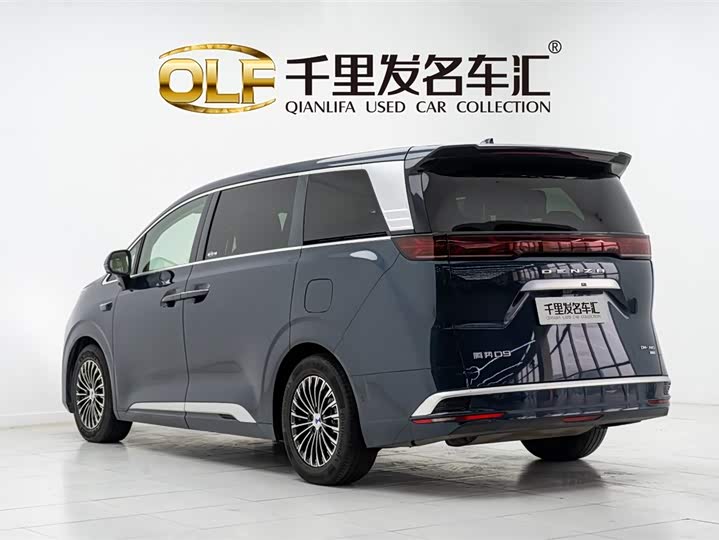 Фото 4 - Denza D9