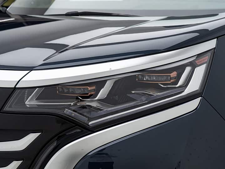 Фото 9 - Denza D9