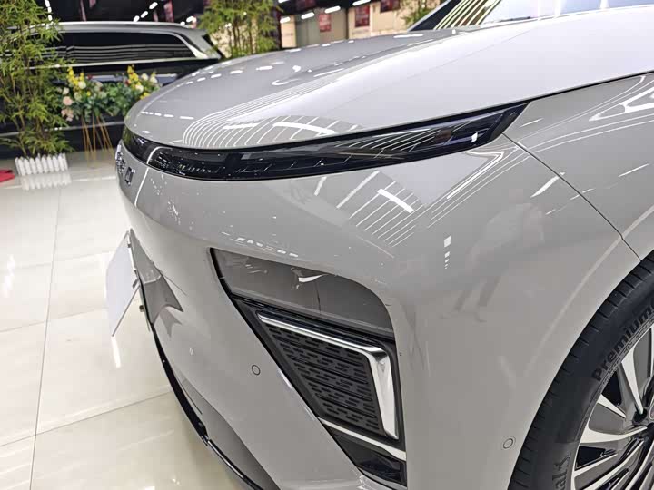 Фото 8 - Exeed Sterra ET