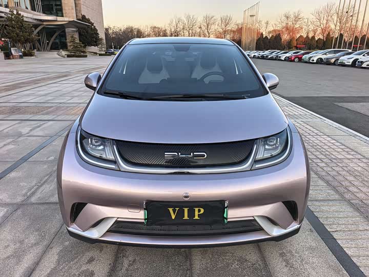 Фото 1 - BYD Dolphin