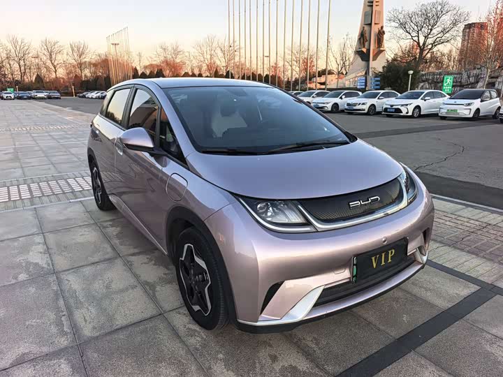 Фото 2 - BYD Dolphin