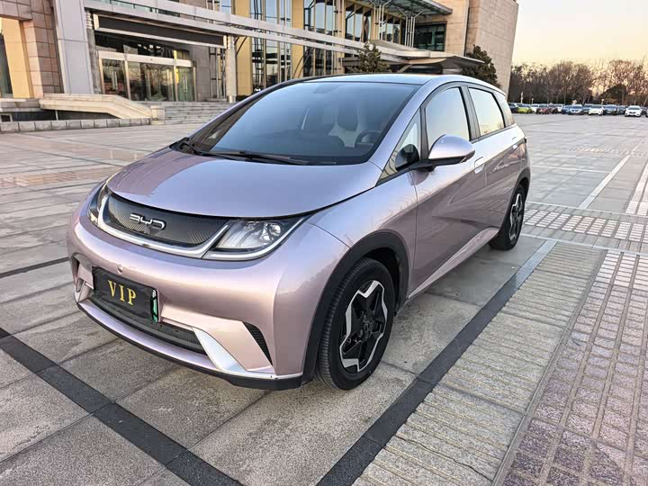 Фото 3 - BYD Dolphin