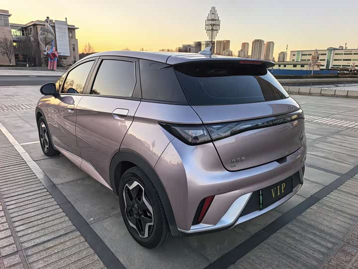 Фото 4 - BYD Dolphin