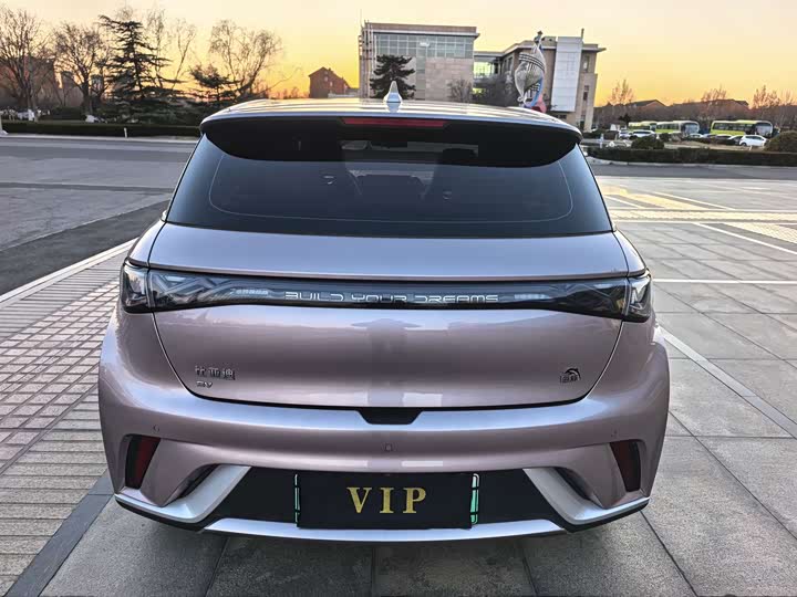 Фото 5 - BYD Dolphin