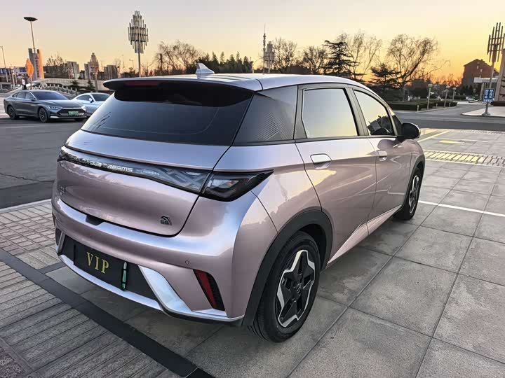 Фото 6 - BYD Dolphin