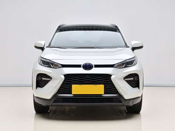 Фото 2 - Toyota Wildlander