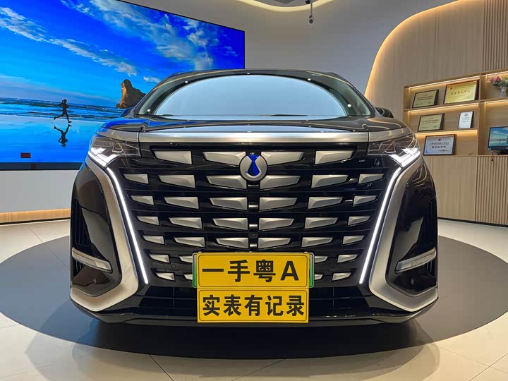 Фото 1 - Denza D9