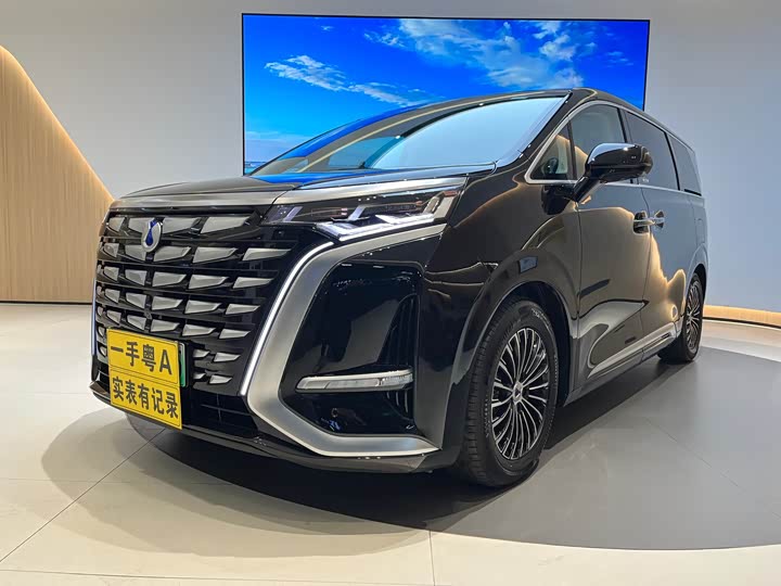 Фото 2 - Denza D9